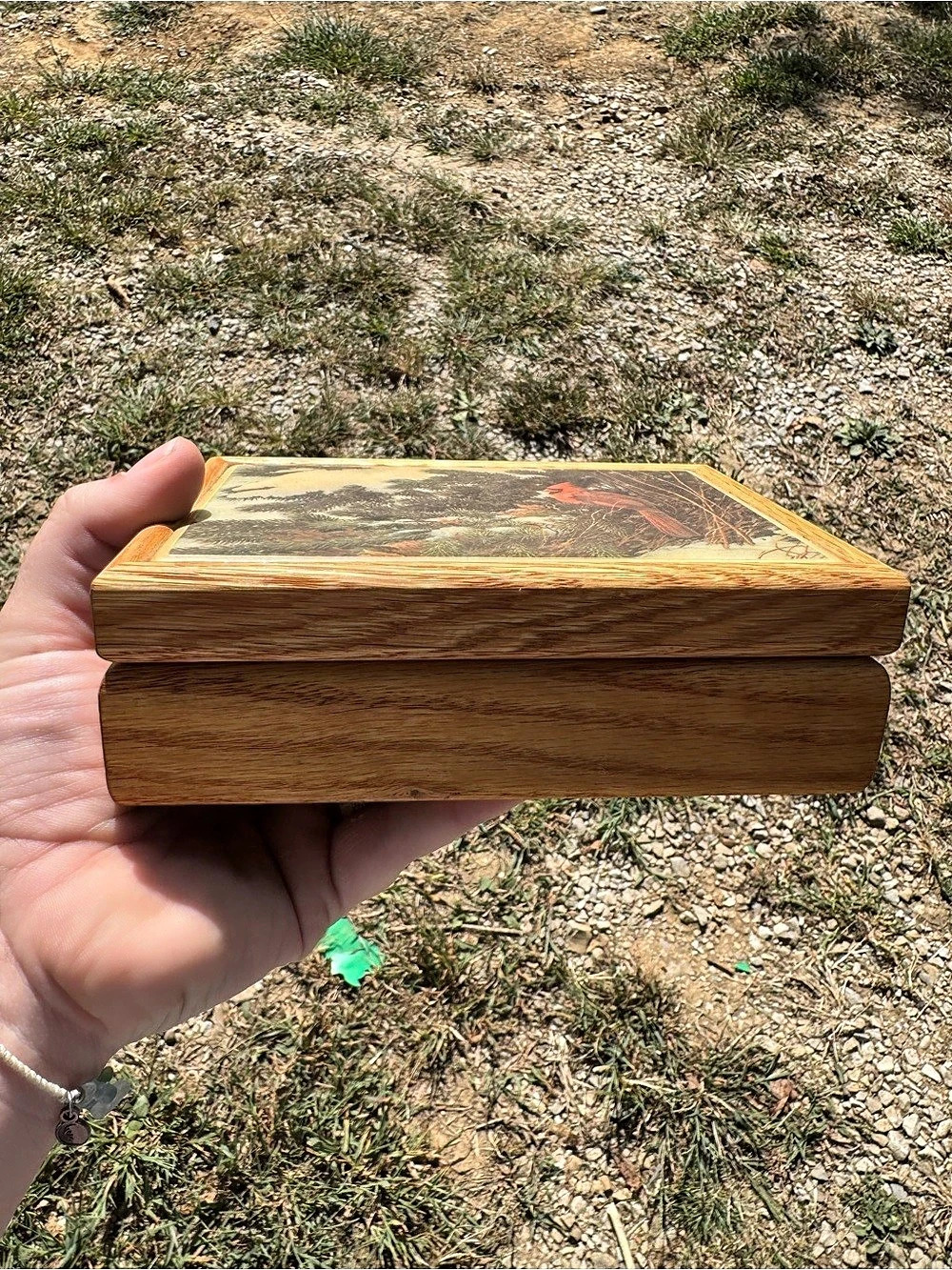 Vintage Framed Cardinal Bird wooden box - Picture 3 of 4
